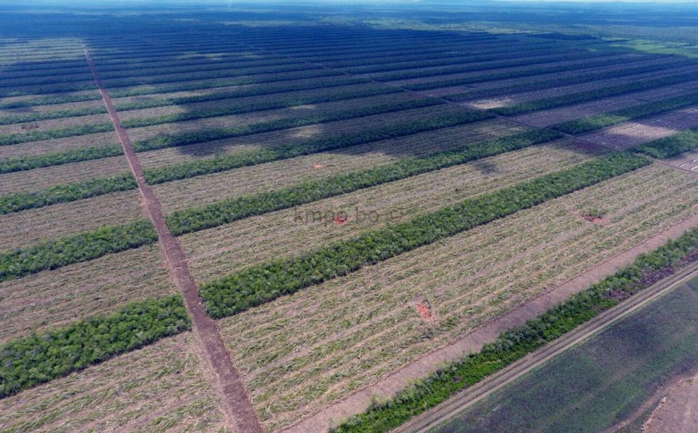 1000_x_621_03a57bea9d9e_img-20180604-wa0106