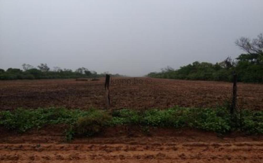 Propiedad cerca de Charagua Kmpo, Campos en Bolivia