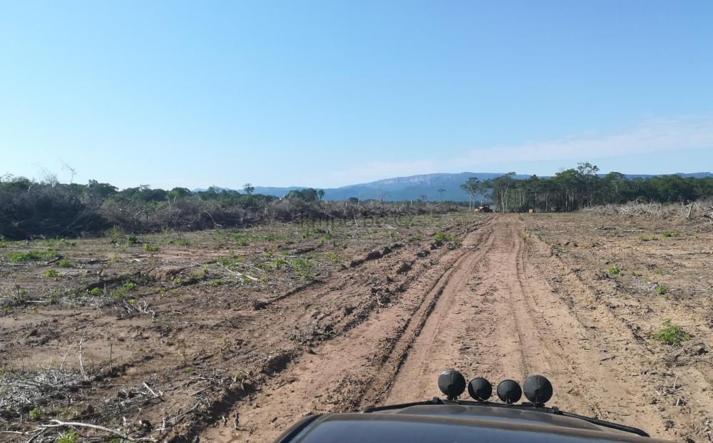 1000_x_621_5c487e0d2e8f_2018-12-05-08.11.33