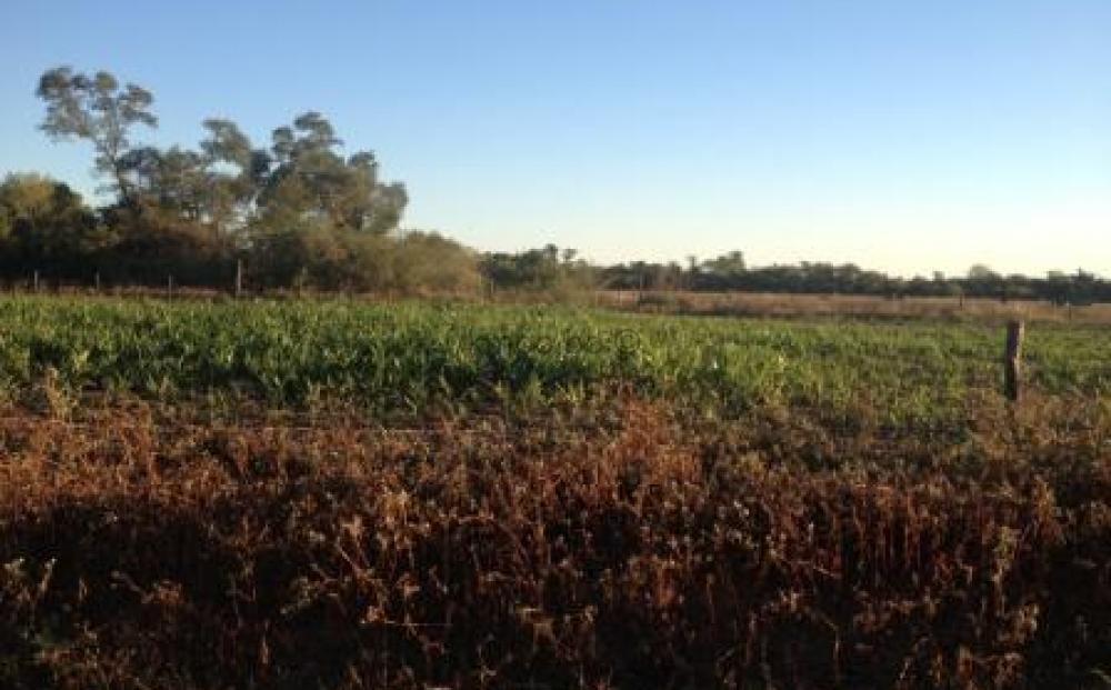 Propiedad cerca de Charagua Kmpo, Campos en Bolivia